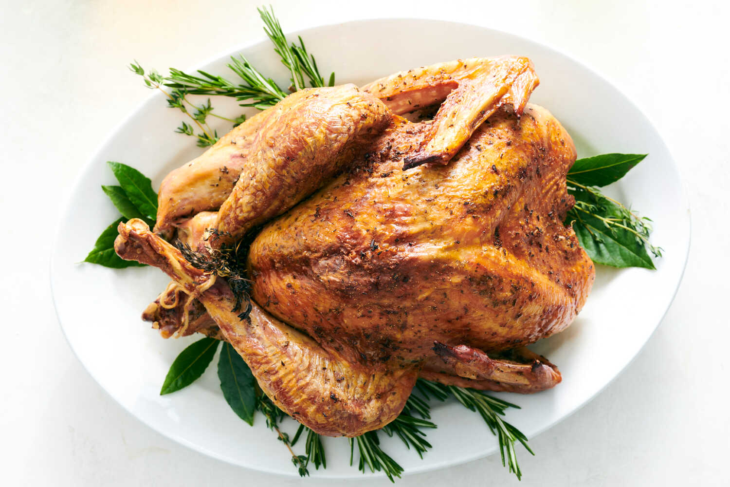 Your Ultimate Thanksgiving Turkey Guide: From Thaw to Carve